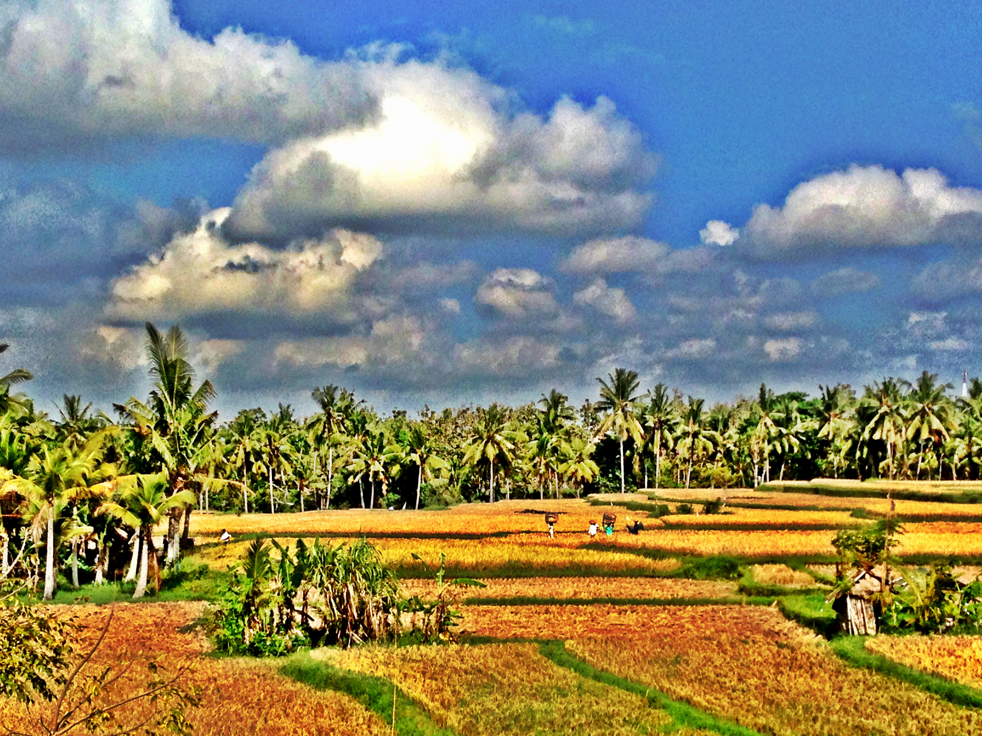 © Mona Helen Preuss