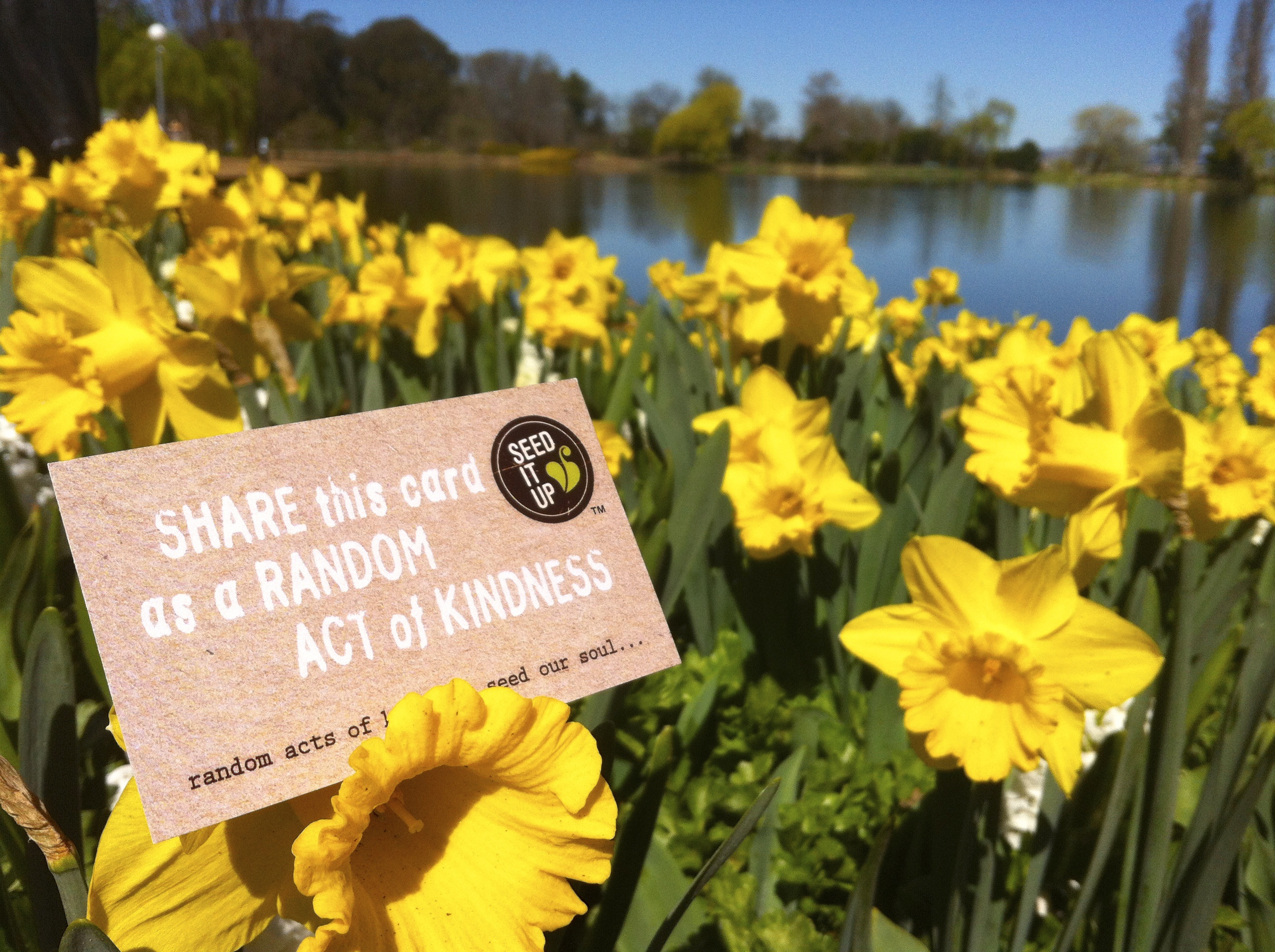 Seed It Up_Random Act of Kindness Card
