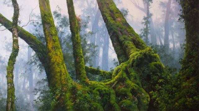 Ancient Stand of Antartic Beech