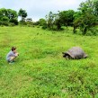 Galapados